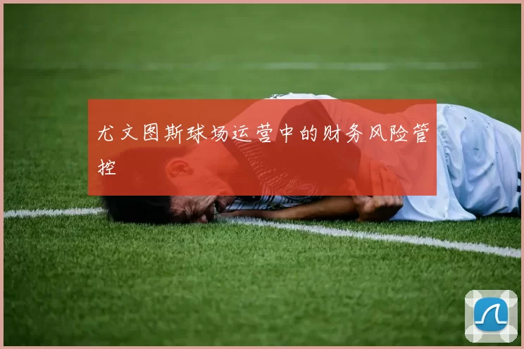尤文图斯球场运营中的财务风险管控