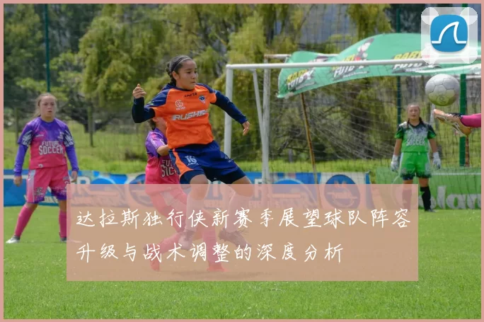 达拉斯独行侠新赛季展望球队阵容升级与战术调整的深度分析