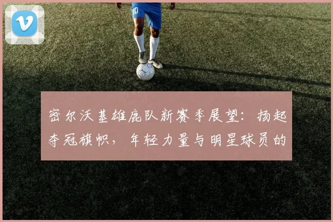 密尔沃基雄鹿队新赛季展望：扬起夺冠旗帜，年轻力量与明星球员的完美融合