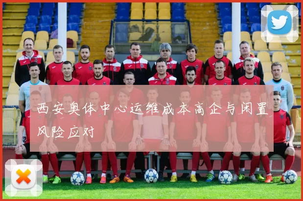 西安奥体中心运维成本高企与闲置风险应对