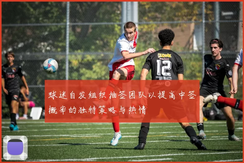 球迷自发组织抽签团队以提高中签概率的独特策略与热情