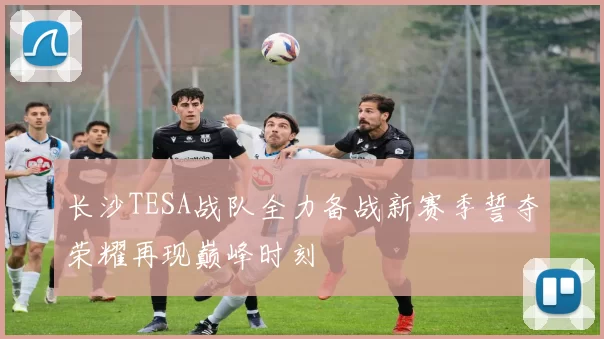 长沙TESA战队全力备战新赛季誓夺荣耀再现巅峰时刻