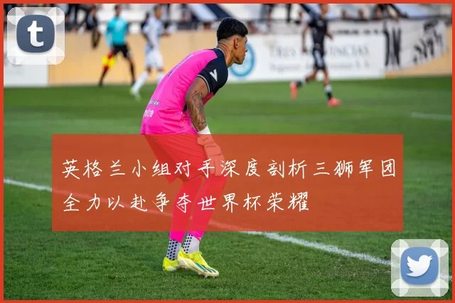 英格兰小组对手深度剖析三狮军团全力以赴争夺世界杯荣耀