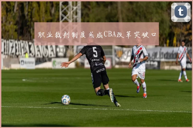 职业裁判制度或成CBA改革突破口