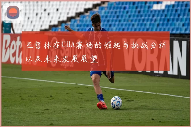 王哲林在CBA赛场的崛起与挑战分析以及未来发展展望
